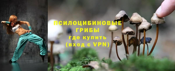 ПСИЛОЦИБИНОВЫЕ ГРИБЫ Алексеевка