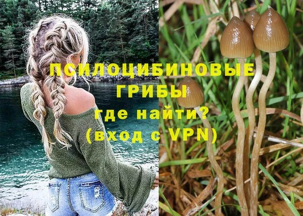 дживик Россошь