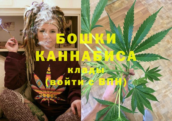 гидра Алзамай