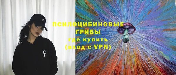 ПСИЛОЦИБИНОВЫЕ ГРИБЫ Алексеевка