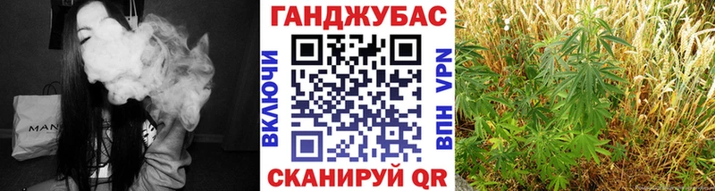 Канабис SATIVA & INDICA Венёв